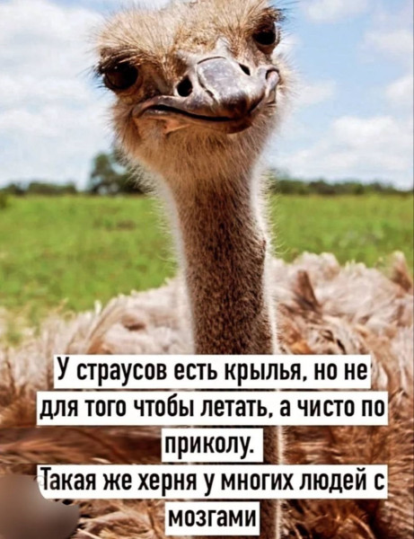 Мем, Смехалка