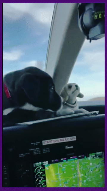 Мем: Не трясись пацан - привыкнешь!, Серж Скоров Мем: Не трясись пацан - привыкнешь!, Серж Скоров