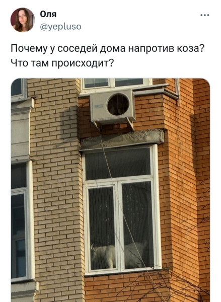 Мем, henh Мем, henh