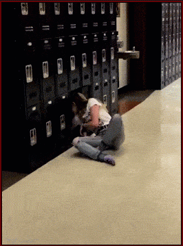 Мем: Камера самосохранения, Серж Скоров