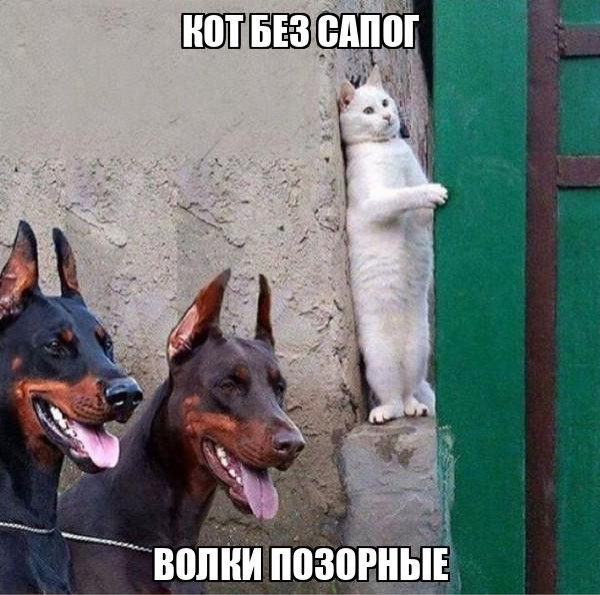 Мем: Постиронии мем