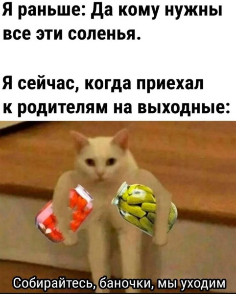 Мем: Правда жизни, iteam Мем: Правда жизни, iteam