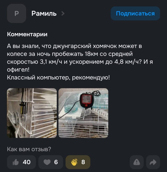 Мем: Самая милая история на сегодня: клиент заказал спидометр для велосипеда, но сначала проверил его на колесе хомяка Оказалось, что его питомец за ночь пробегает целых 18 километров., henh Мем: Самая милая история на сегодня: клиент заказал спидометр для велосипеда, но сначала проверил его на колесе хомяка Оказалось, что его питомец за ночь пробегает целых 18 километров., henh