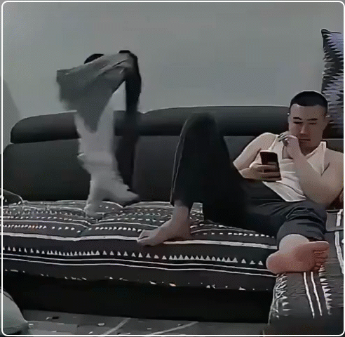 Мем: Хорошо, все-таки, что обезьяны наши предки, ну или дальние родственники, Серж Скоров