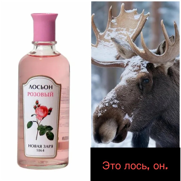 Мем: Лосьон, DVD Мем: Лосьон, DVD