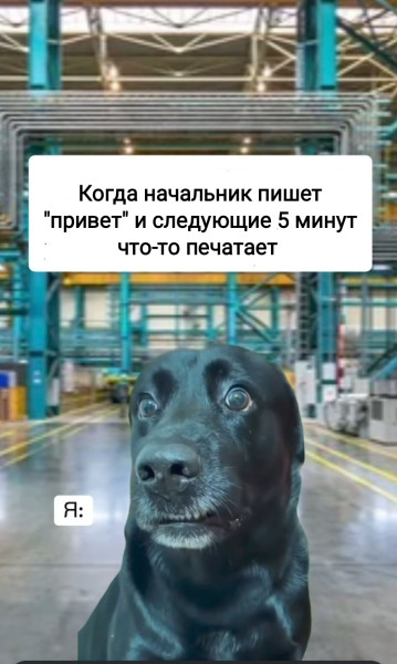 Мем, Рысь Мем, Рысь