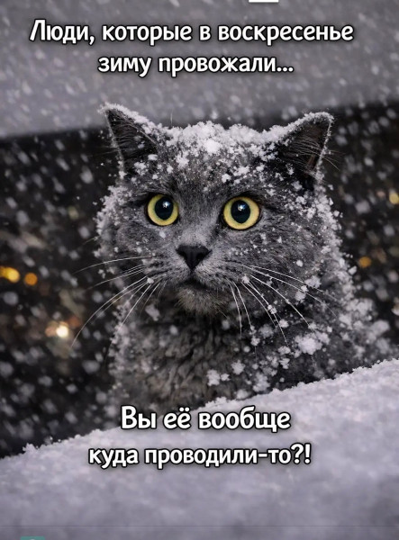 Мем, Смехалка