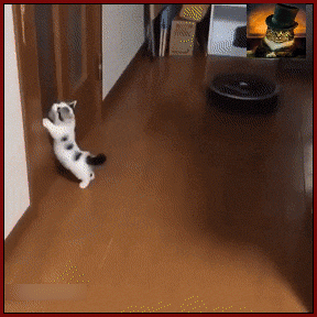 Мем, Серж Скоров