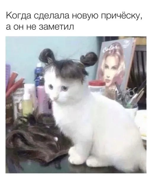 Мем, Смехалка