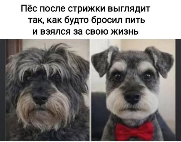 Мем, Рысь Мем, Рысь