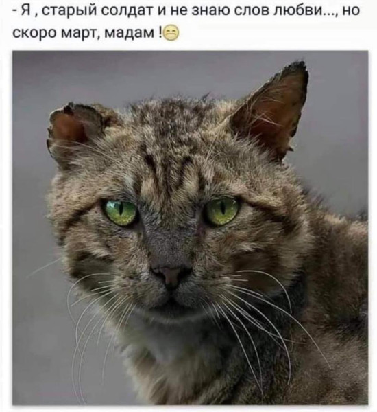 Мем, Hendry Мем, Hendry