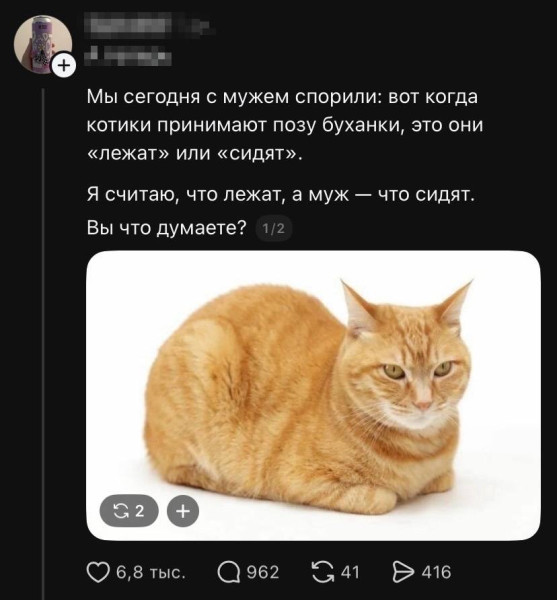 Мем: Настало время для действительно важных вопросов., henh