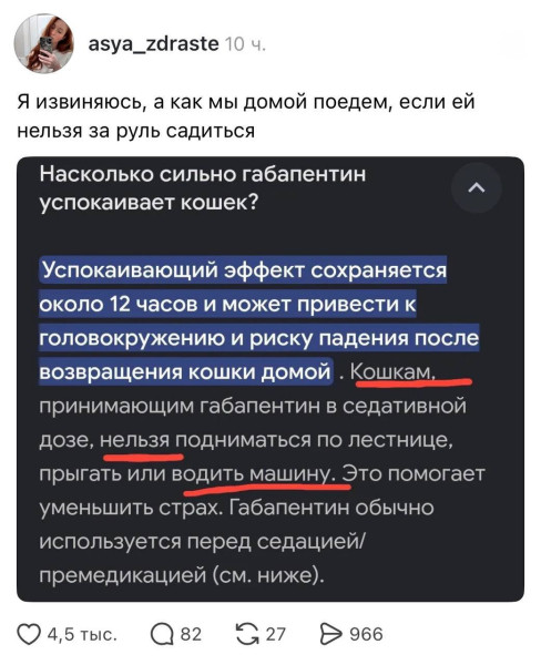 Мем: Нейронка запретила кошкам садиться за руль машины, объясняя действие лекарств.  Теперь придётся вызывать трезвого кота., henh