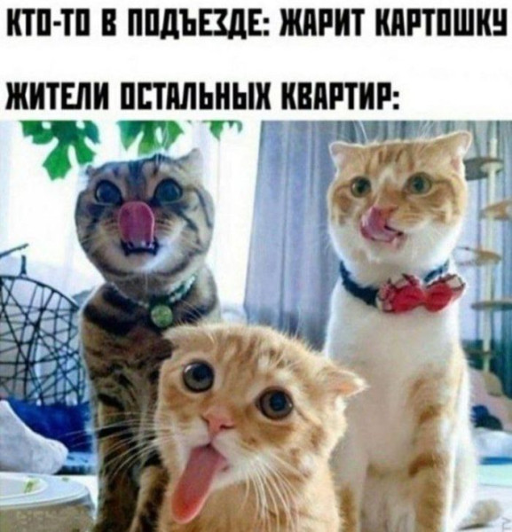 Мем: Прикол, iteam