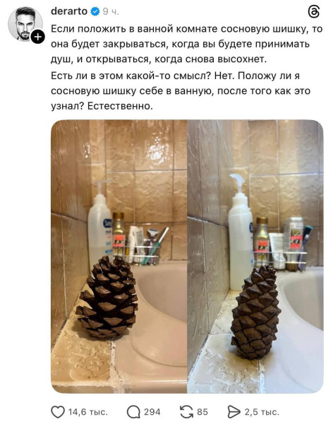 Мем: Сосновая шишка — новый трендовый аксессуар для ванны., henh