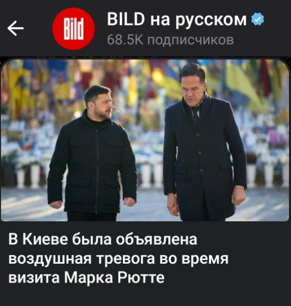 Мем, Юрий Небольсин