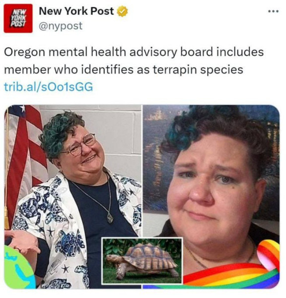 Мем, Юрий Небольсин