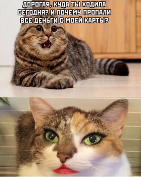 Мем, Смехалка