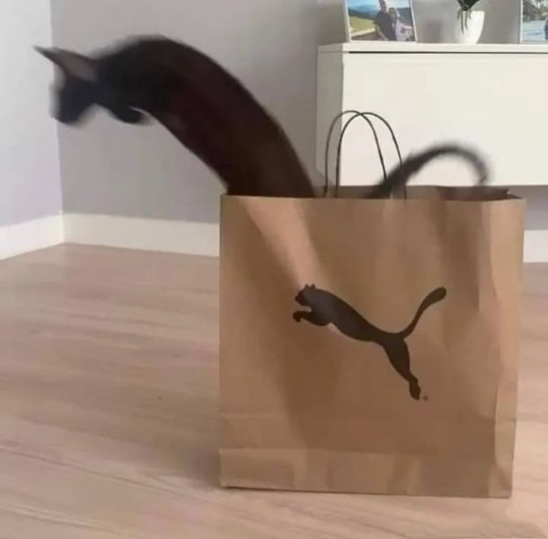 Мем, Рысь Мем, Рысь