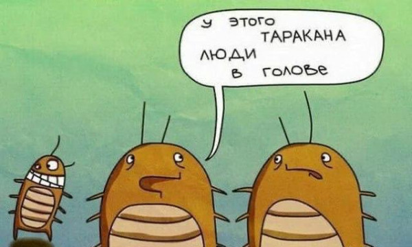 Мем: Прикол на день, iteam