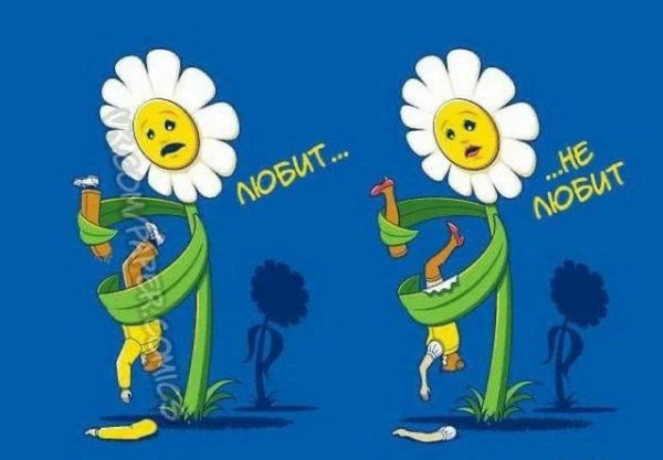 Мем: Прикол на день, iteam