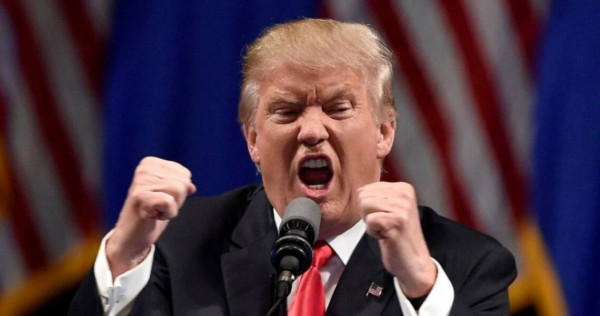 Мем, Максим Камерер