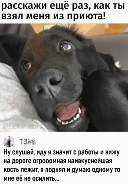 Мем, Смехалка