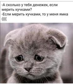 Мем, михельсон