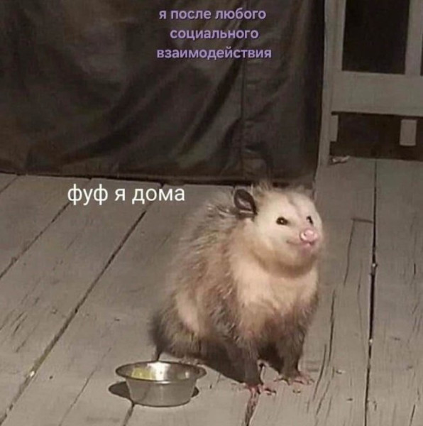 Мем: Мем, iteam