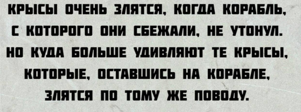 Мем, Максим Камерер