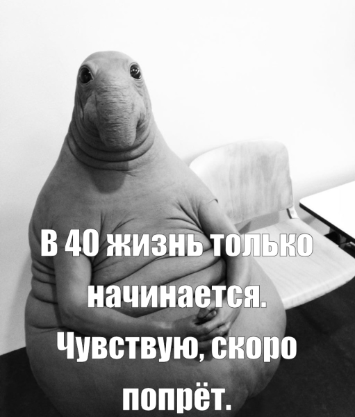 Мем: Жизнь начинается, Anekdotoff Мем: Жизнь начинается, Anekdotoff