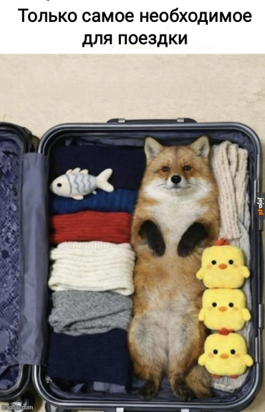 Мем, Рысь Мем, Рысь