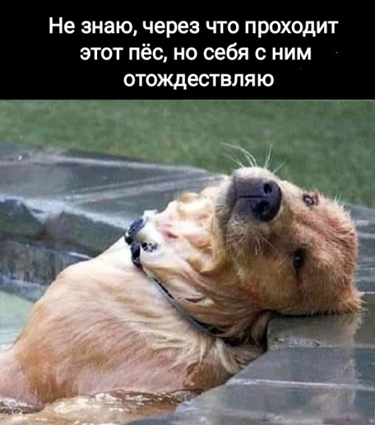 Мем, Рысь Мем, Рысь