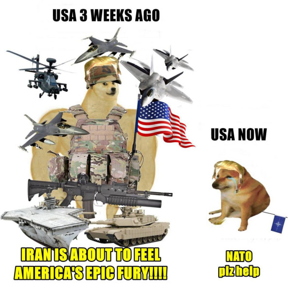 Мем, Максим Камерер