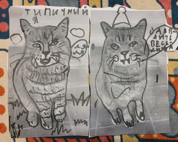 Мем: Дочин котик, LarikO