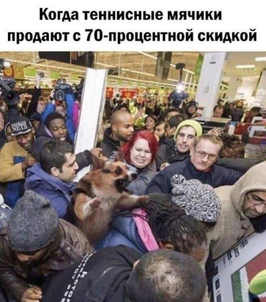 Мем, Юмористка