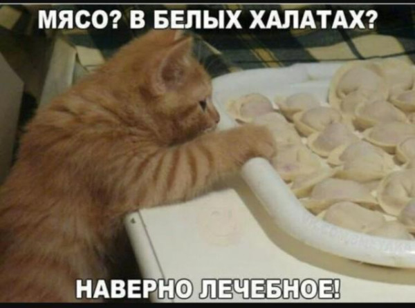 Мем, Юмористка