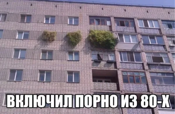 Мем: Прикол, Юмористка