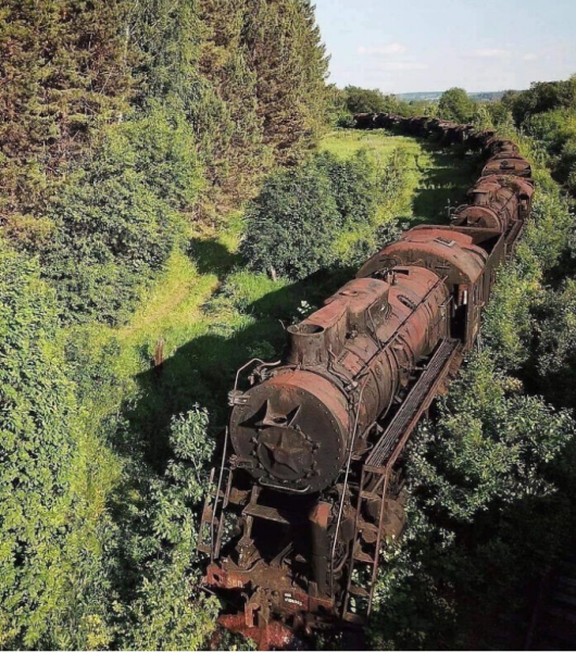 Мем, михельсон