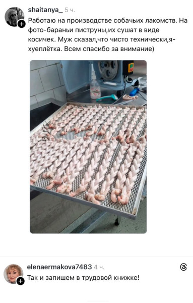 Мем, Юмористка