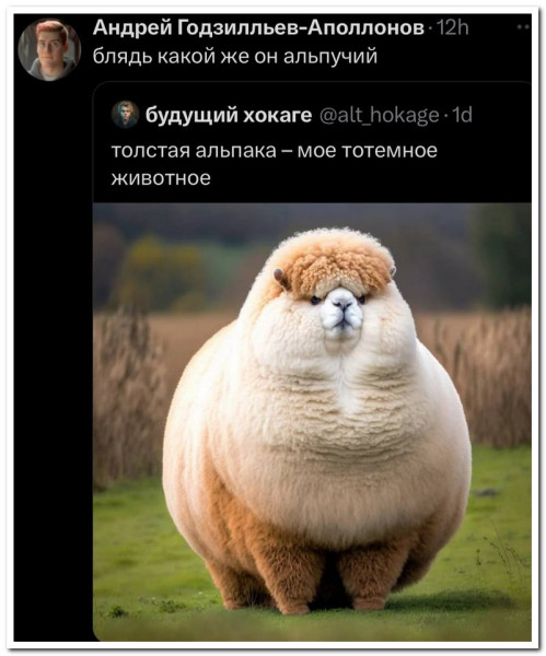 Мем, Юмористка