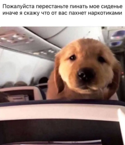 Мем: Юмор и приколы, iteam