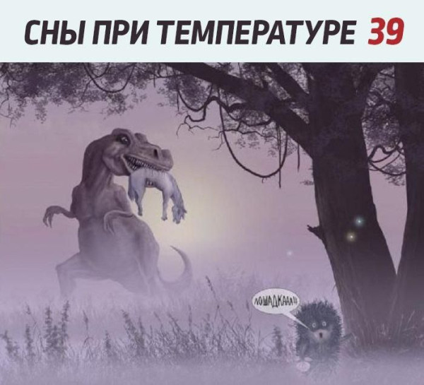 Мем: Юмор и приколы, iteam