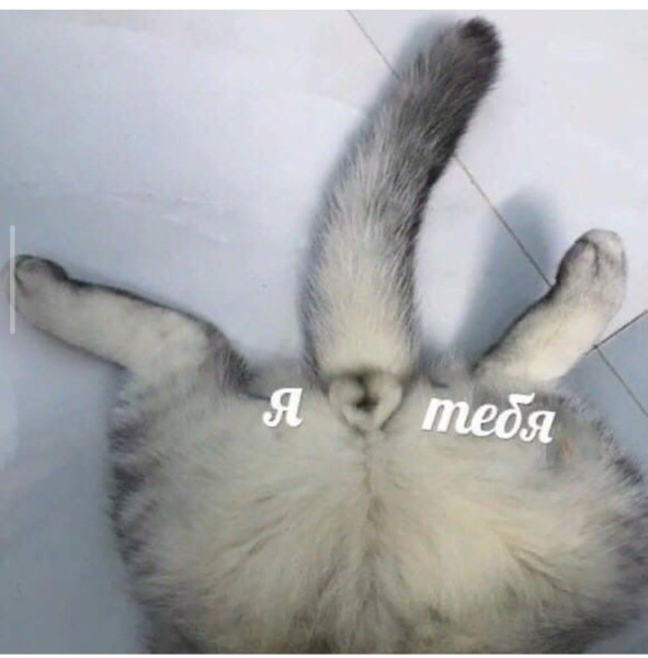 Мем: Юмор и приколы, iteam