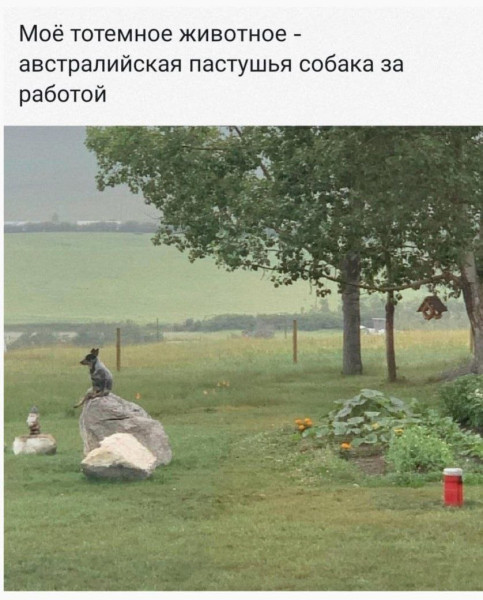 Мем, Смехалка