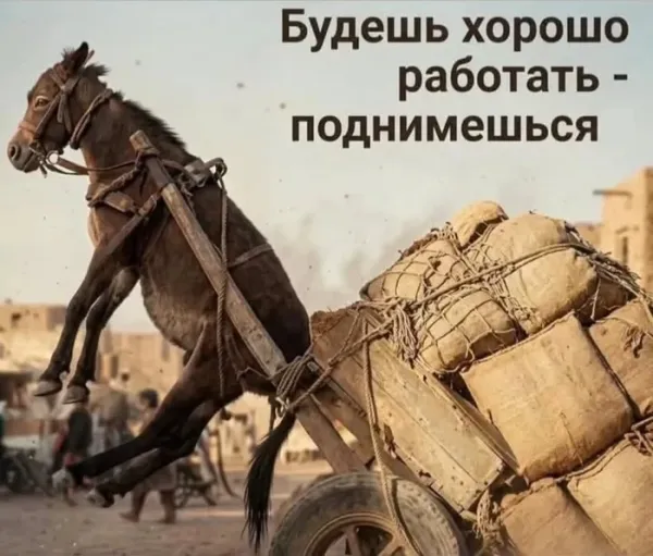 Мем, Смехалка