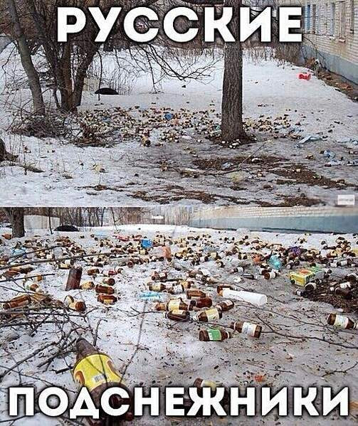 Мем, Алекс Гудков