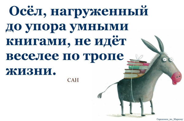 Мем, Александр САН