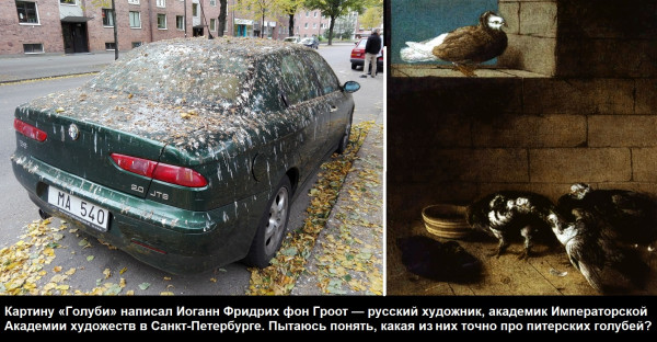 Мем: Птица мира..., CAHTAHA