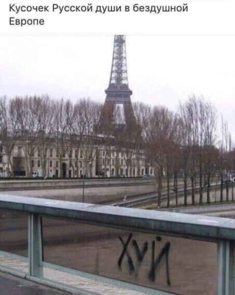 Мем: Смешные картинки, Юмористка